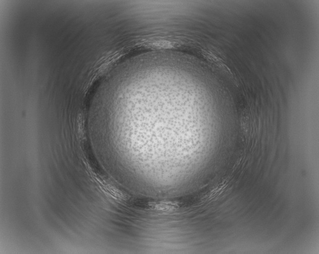 X0000053000359200507221253