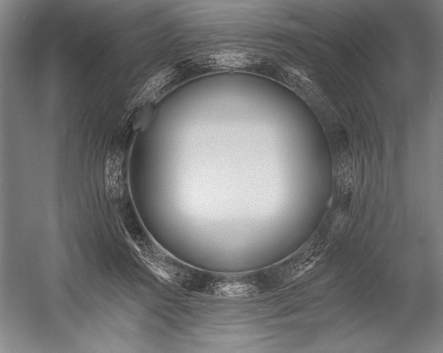 X0000053000360200507221253