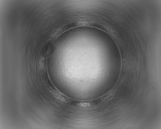 X0000053000361200507221253