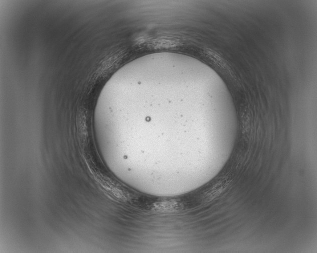 X0000053000362200507221253