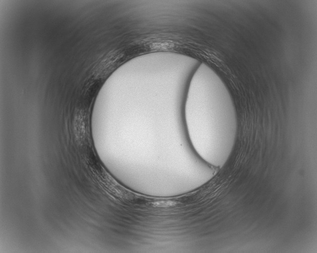 X0000053000363200507221253