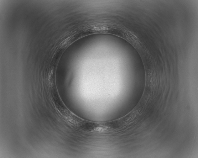 X0000053000364200507221253