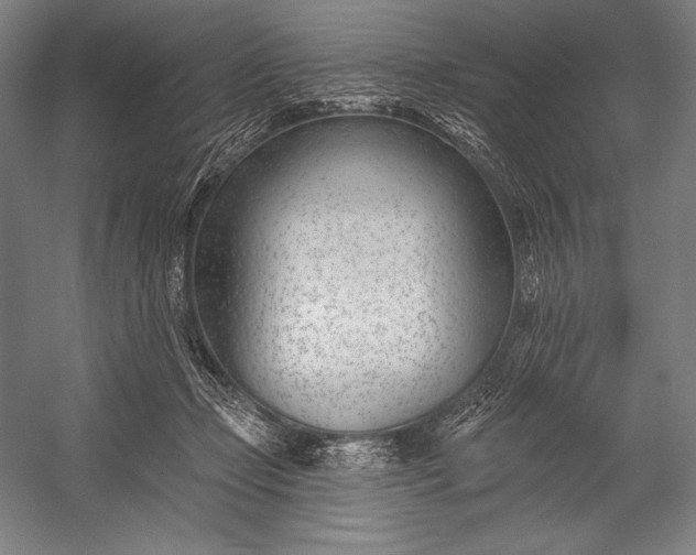 X0000053000365200507221253