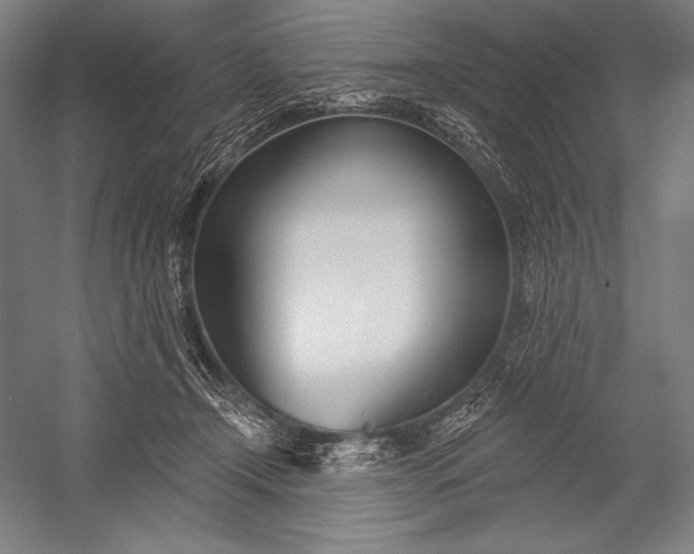 X0000053000366200507221253