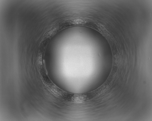 X0000053000368200507221253