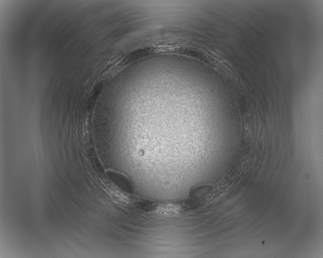 X0000053000369200507221253