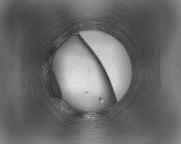 X0000053000372200507221253