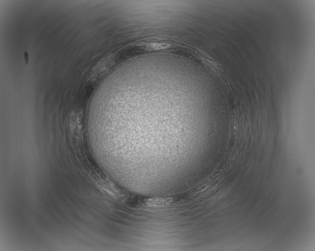 X0000053000373200507221253