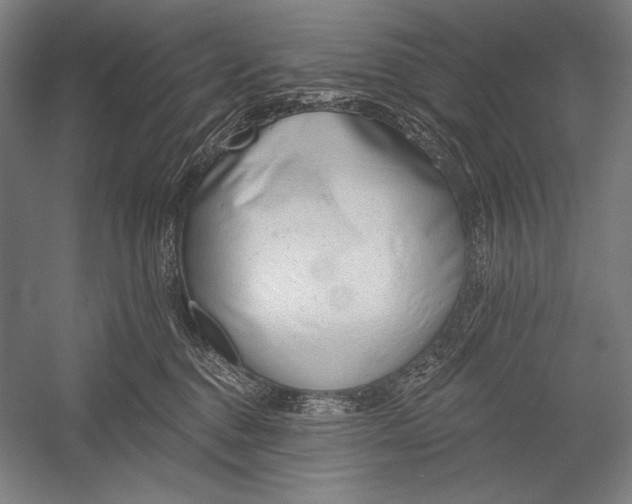 X0000053000376200507221253