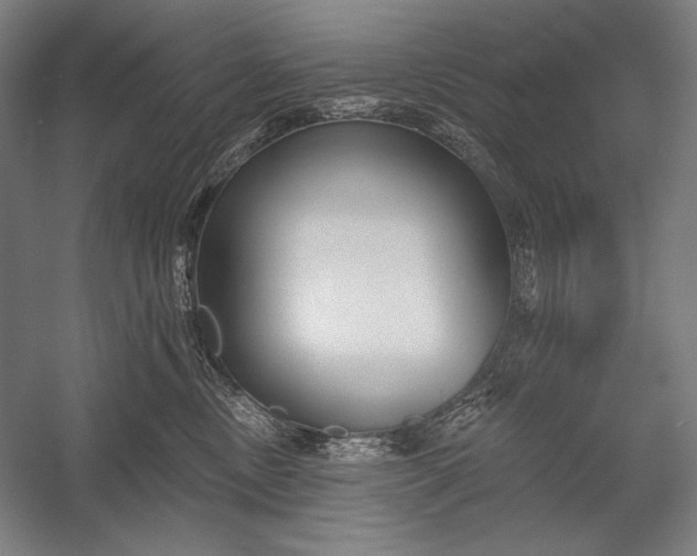 X0000053000378200507221253