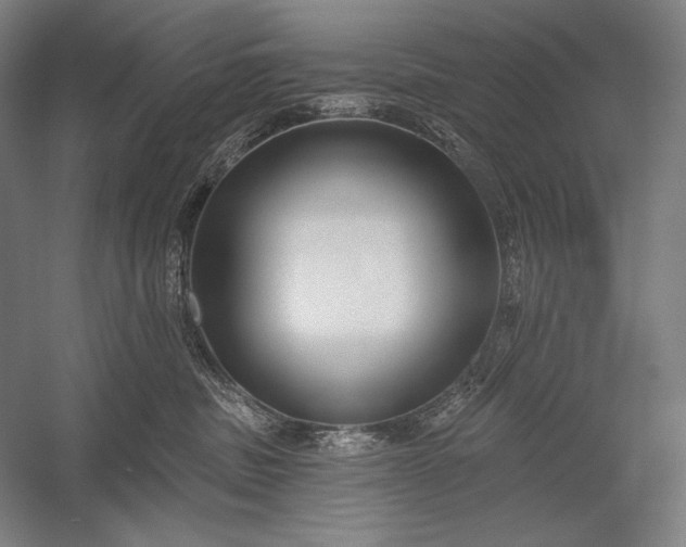 X0000053000379200507221253