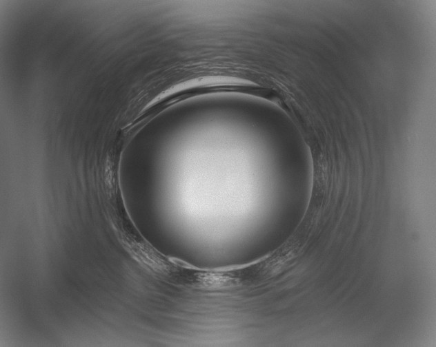 X0000053000380200507221253