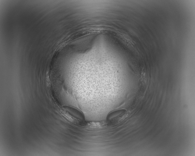 X0000053000381200507221253