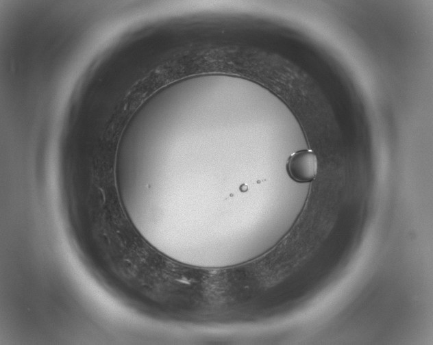 X0000053000382200507221253