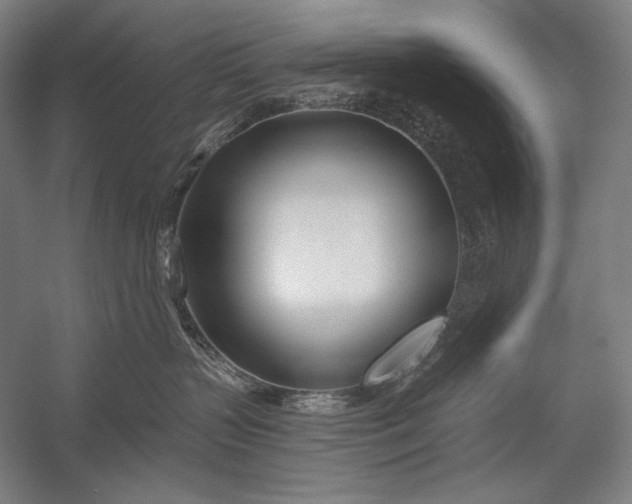 X0000053000383200507221253