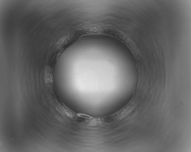 X0000053000384200507221253