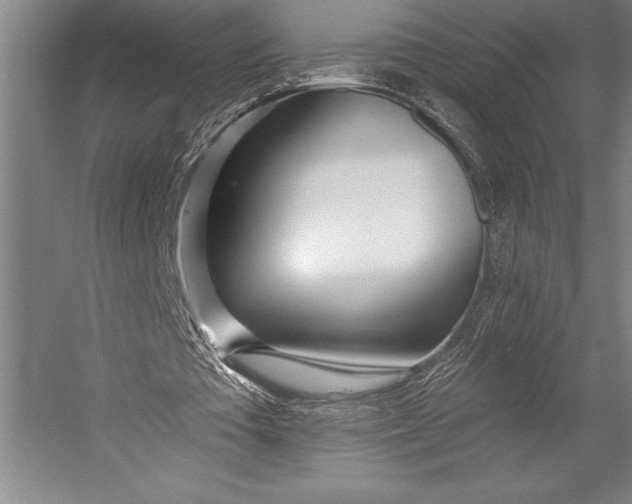 X0000053000385200507221253