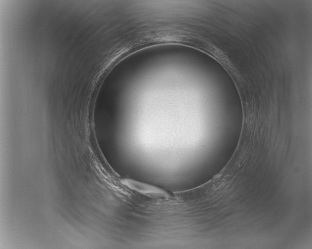 X0000053000386200507221252