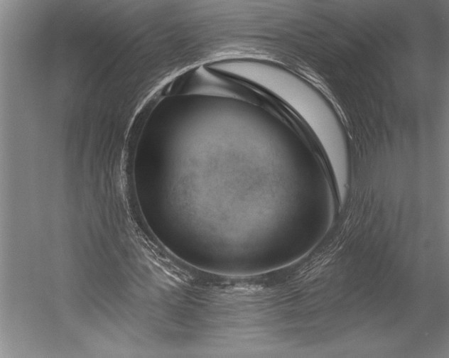 X0000053000387200507221252