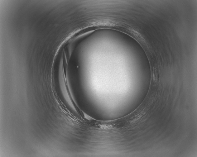 X0000053000388200507221252