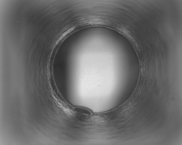 X0000053000390200507221252