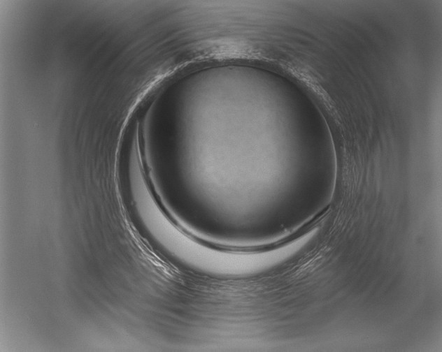 X0000053000391200507221252