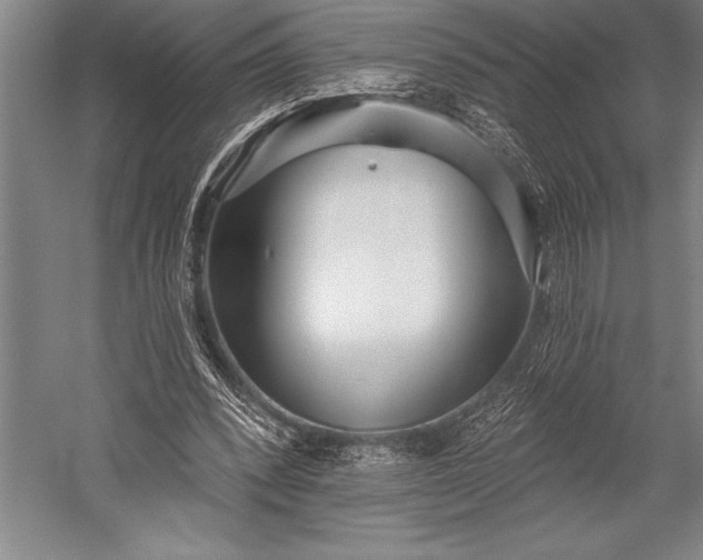 X0000053000392200507221252