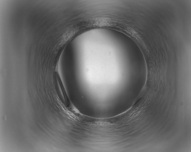 X0000053000393200507221252