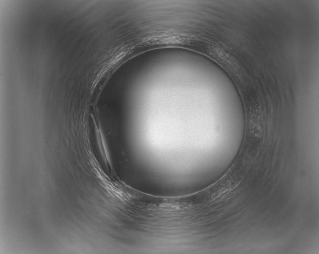 X0000053000394200507221252