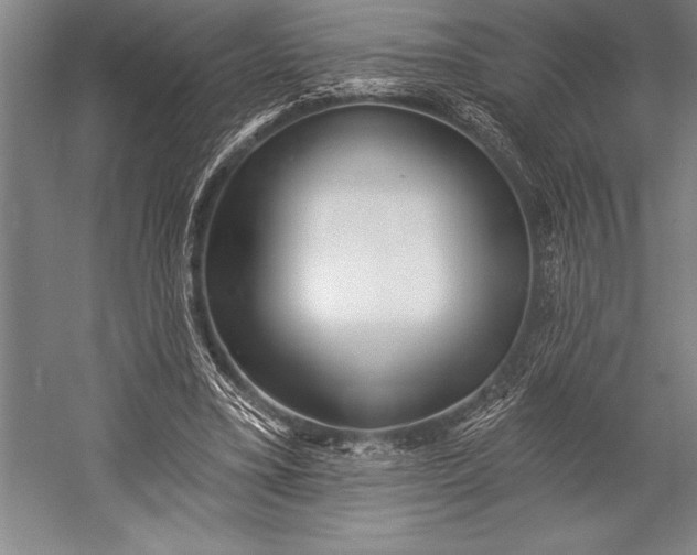 X0000053000395200507221252