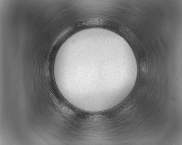 X0000053000396200507221252