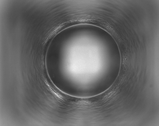 X0000053000397200507221252