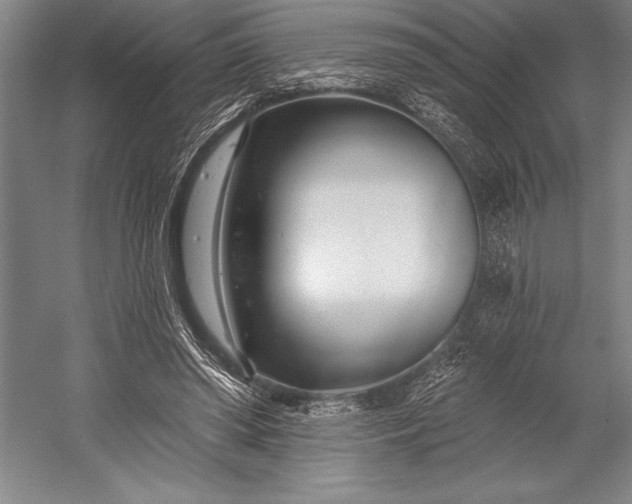 X0000053000398200507221252