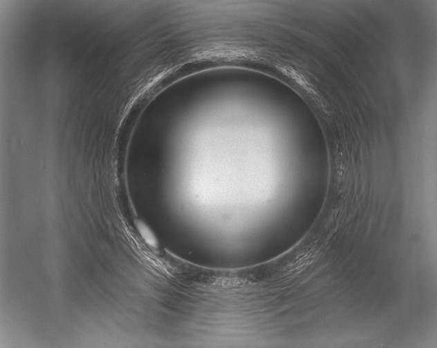 X0000053000399200507221252