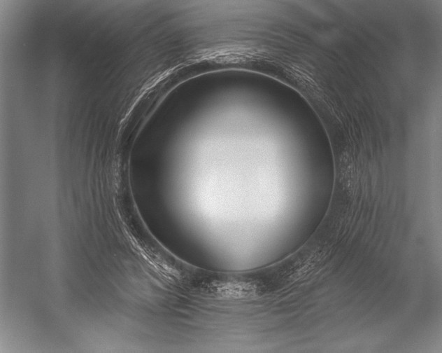 X0000053000400200507221252