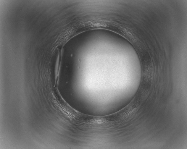 X0000053000402200507221252