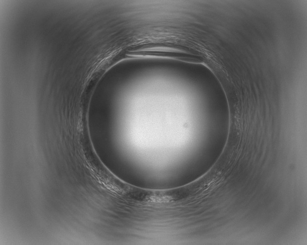 X0000053000403200507221252