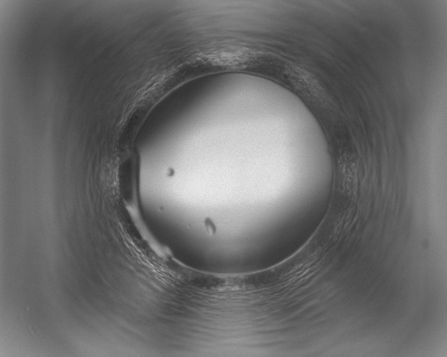 X0000053000404200507221252