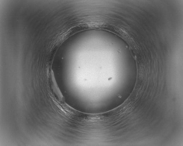 X0000053000405200507221252