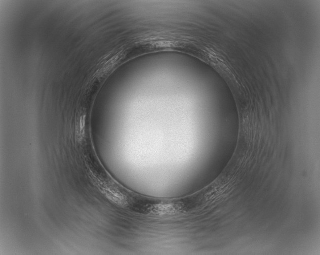 X0000053000406200507221252