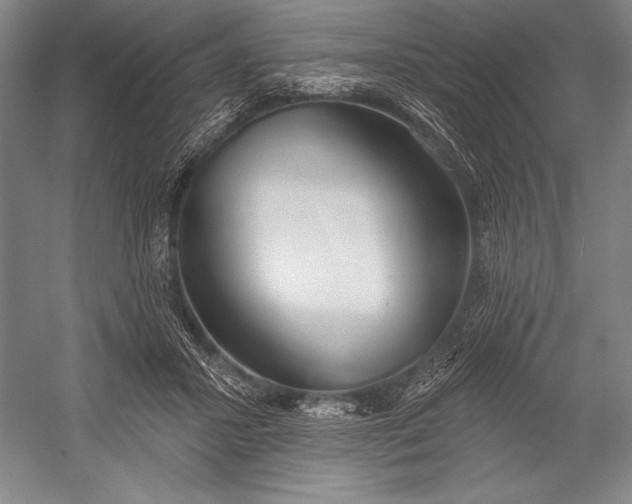 X0000053000407200507221252