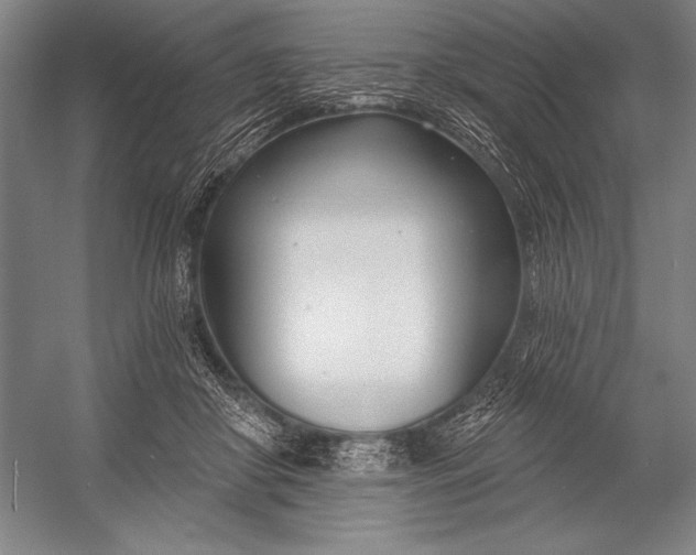 X0000053000410200507221252