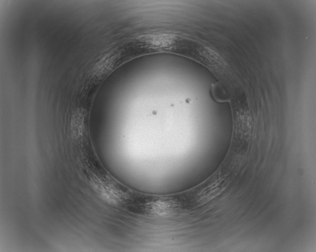 X0000053000412200507221252