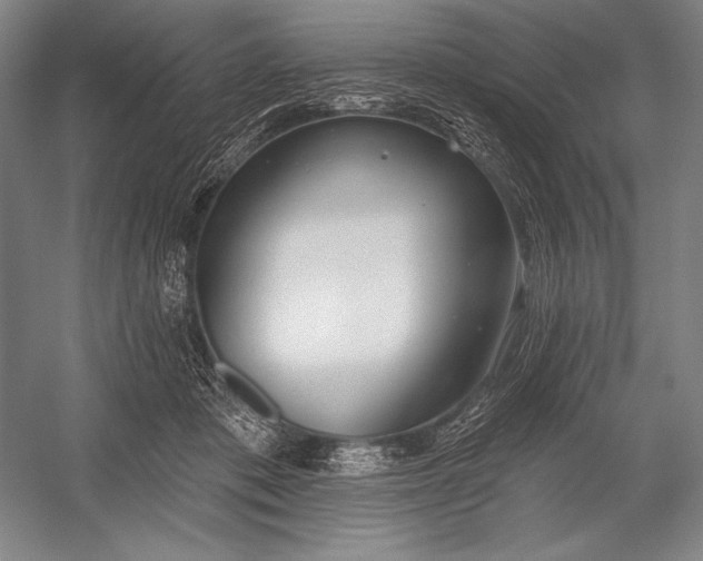 X0000053000413200507221252