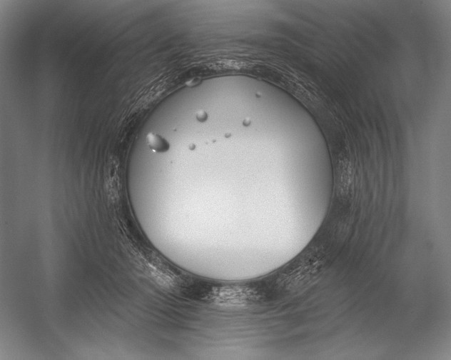 X0000053000414200507221252