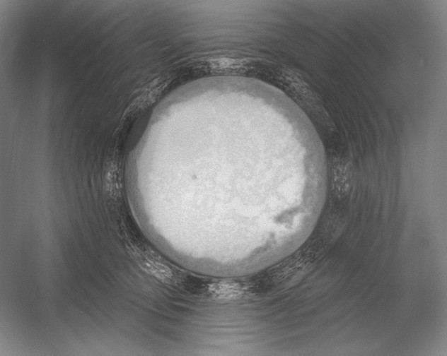 X0000053000419200507221252