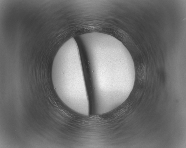 X0000053000420200507221252