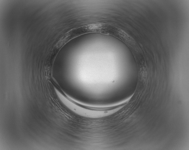 X0000053000421200507221252