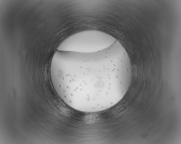 X0000053000422200507221252