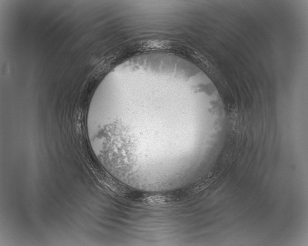 X0000053000423200507221252